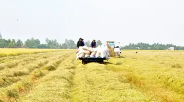 اتخذ خطوات حقيقية لضمان ترسيخ الحل.